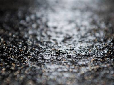 Nur das Beste für die Gesundheit der Pferde