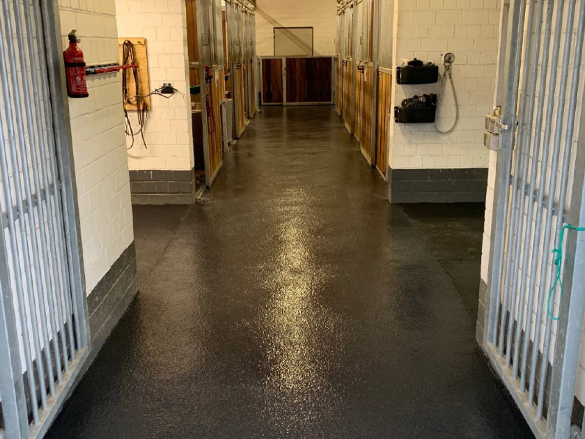 You can just see that the horses are faring better!